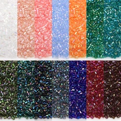 2mm Glass Rice Bead Colorful Tubular Transparent Loose Beads DIY Bracelet Earring Jewelry Making Bead Crafts Accessories
