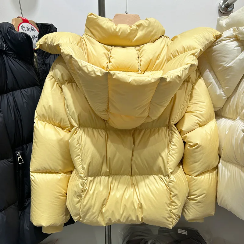 Winter New Women\'s Down Jacket Loose Commuting Casual White Goose Down Windproof Short Jacket