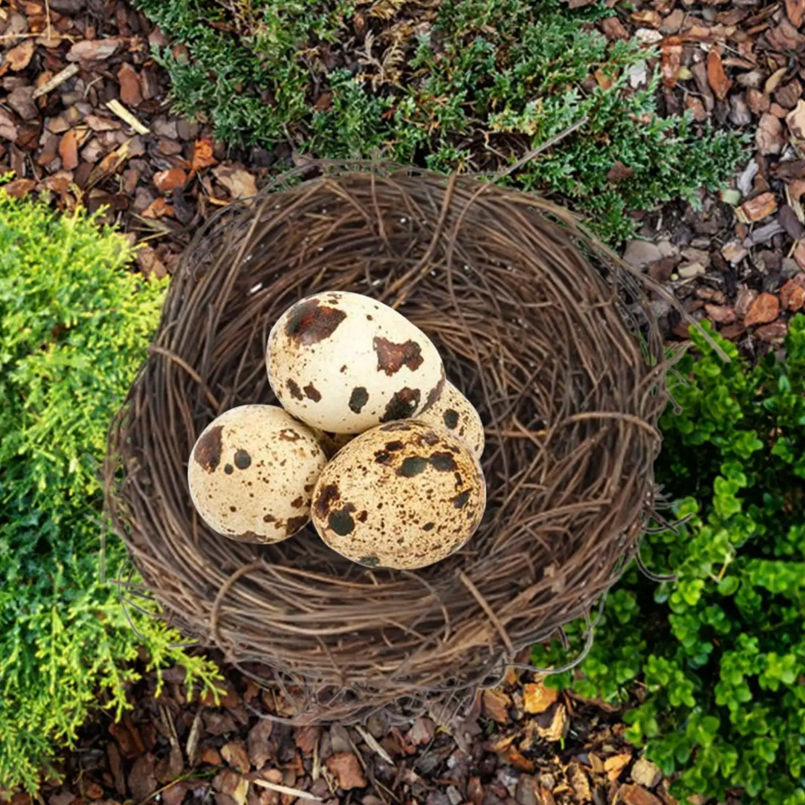 10cm Round Rattan Bird Nest Easter Handmade DIY Craft Vine Simulation Bird Nest Egg Decor Props Home Garden Window bird house