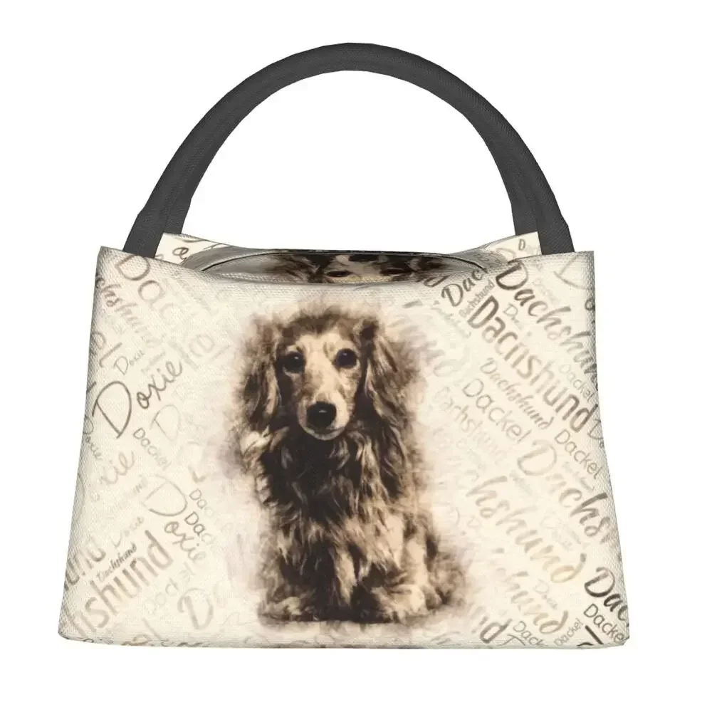 Longhaired Dachshund Dog Insulated Lunch Bags for Women Badger Sausage Wiener Resuable Cooler Thermal Food Lunch Box Outdoor