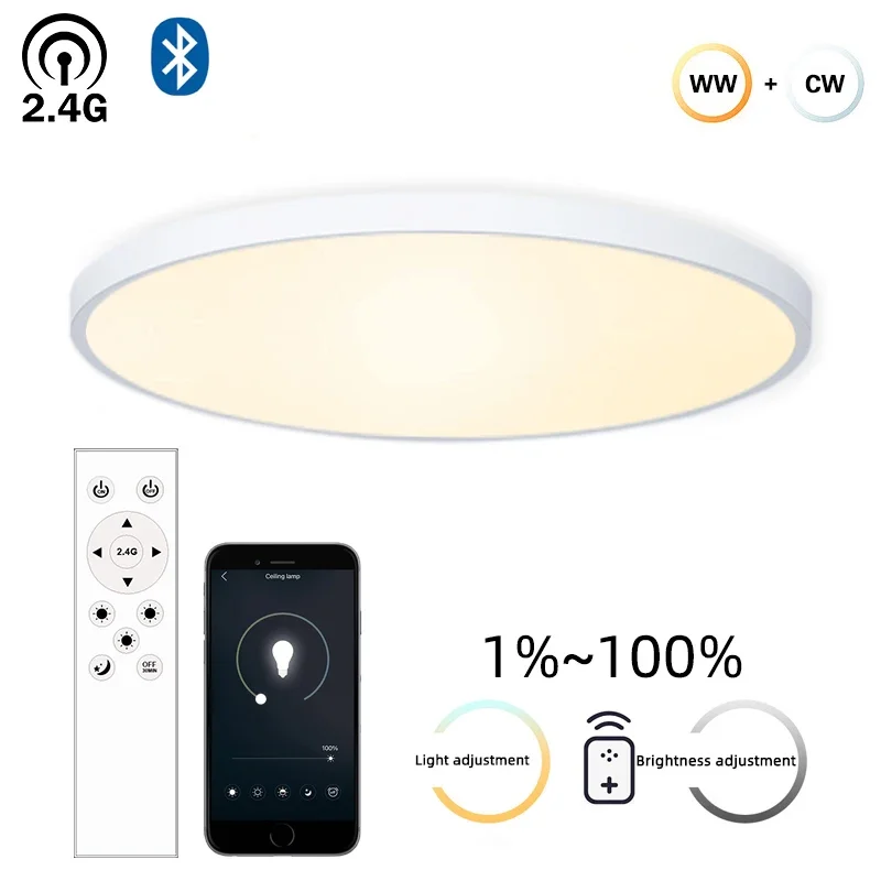 2.4G RF Remote LED Ceiling Light Tri-proof Waterproof 3 Color Stepless Dimmable Memory Timing Home Bedroom Bathroom Ceiling Lamp