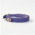 purple blue