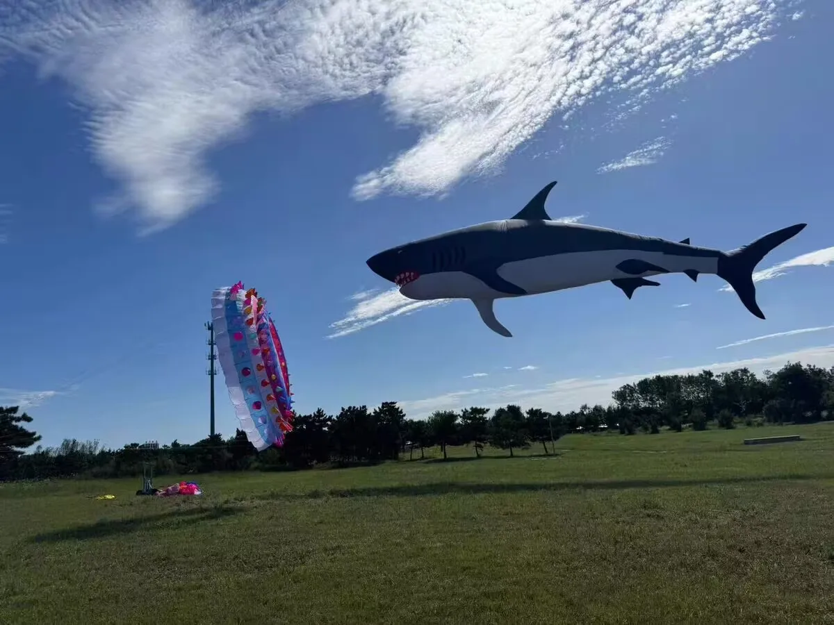 Neuankömmling, weich, aufblasbar, 12 m, Power Shark Kite Wäsche für Erwachsene, hochwertiger Ripstop-Nylon-Show-Drachen-Anhänger