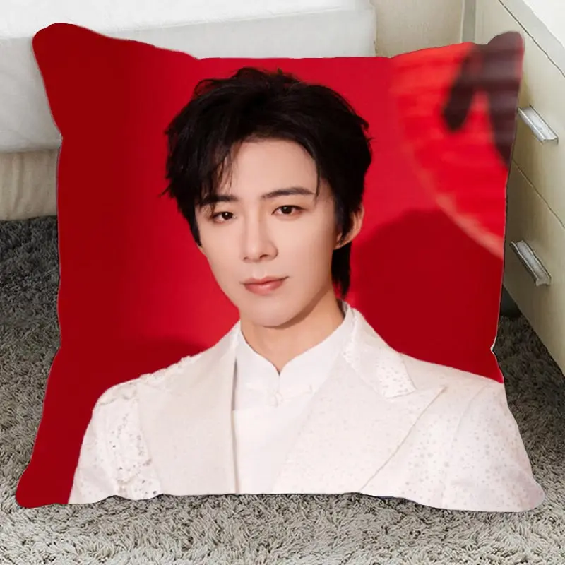 وسادة ليو يوني الجديدة على شكل شخصيات مشهورة للديكور والدعم، دمى صغيرة بأسلوب إنستغرام، هدايا إبداعية، وسادة مربعة #3