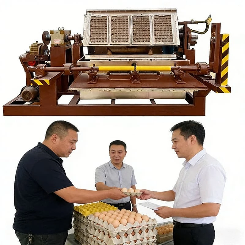High Efficiency Rotary Egg Tray Making Line Multi Type Paper Tray Production Machine Integrated Pulp Molding Machine Customized