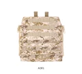 Aor1