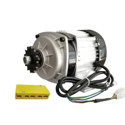 DC 24V 48V 60V 500W 700W 800W 1000W motore Brushless motore elettrico DC Brushless Motor Equipment personalizzazione tosaerba, ecc