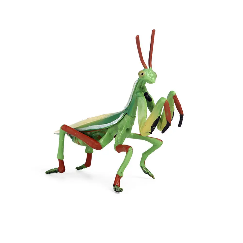

1Pcs Plastic Mantis Lifelike Simulation Home Office Desktop Decoration Kids Educational Prop Mantis Figurine