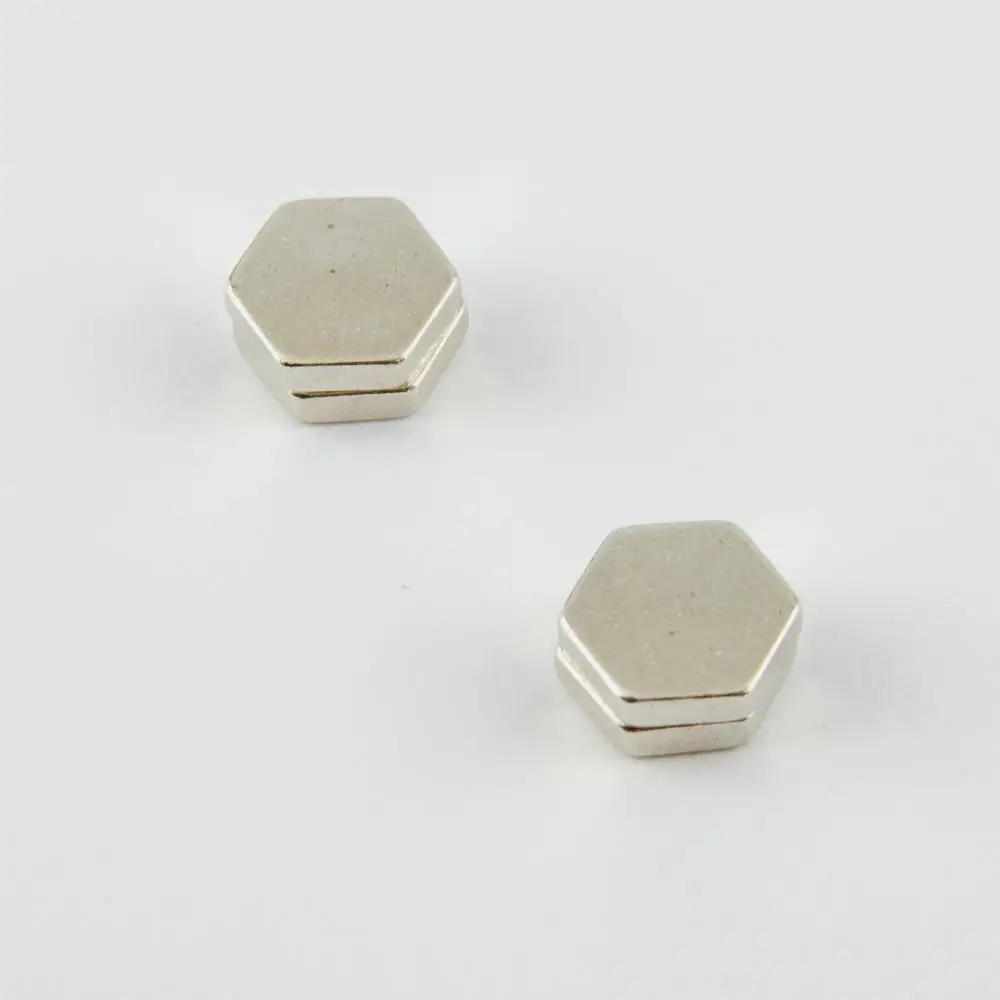 0,8 cm Hexagonal Figured Magnet Steel Earrings