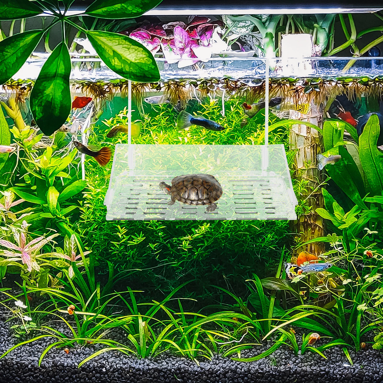 

Tank Turtle Platform Tortoise Floating Dock Reptile Accessories Resting Terrace Habitat Basking Area Climbing