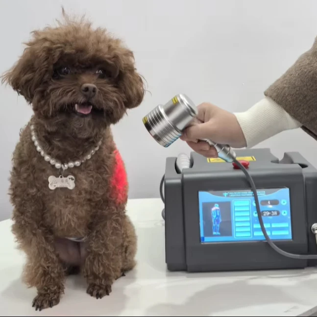 

A Drug Free Alternative Best 1055mW Laser Therapy Machine Low Level Laser Therapy Lllt For Pain Management Veterinary Pet Clinic