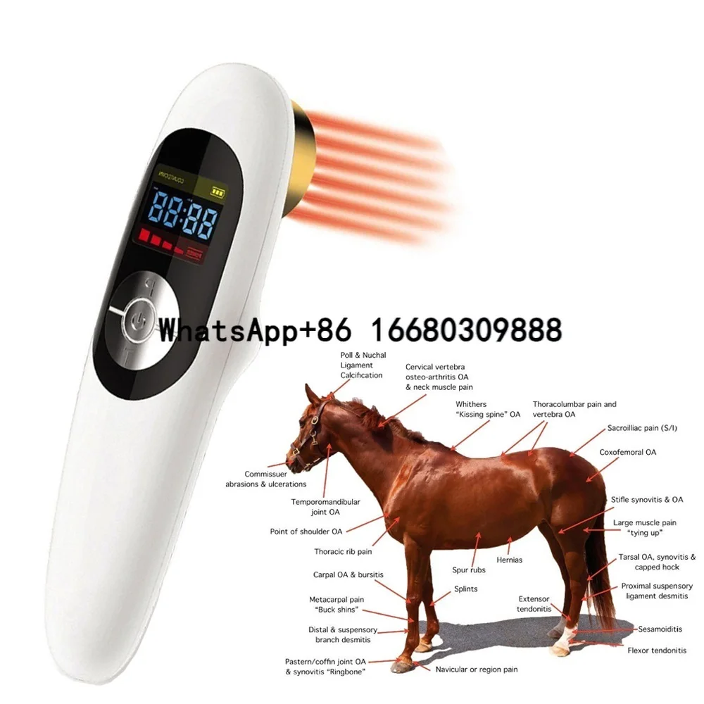 Low Level Therapy Device 808nm Portable Handheld Veterinary Medical Instrument Pain Relief Acupuncture Physiotherapy LLLT