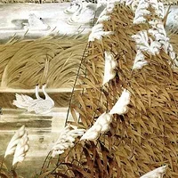 

For MJX Hyper Go 14301 14302 14303 1/14 high speed RC cars replacement parts body shell wheel base 195mm tail wing