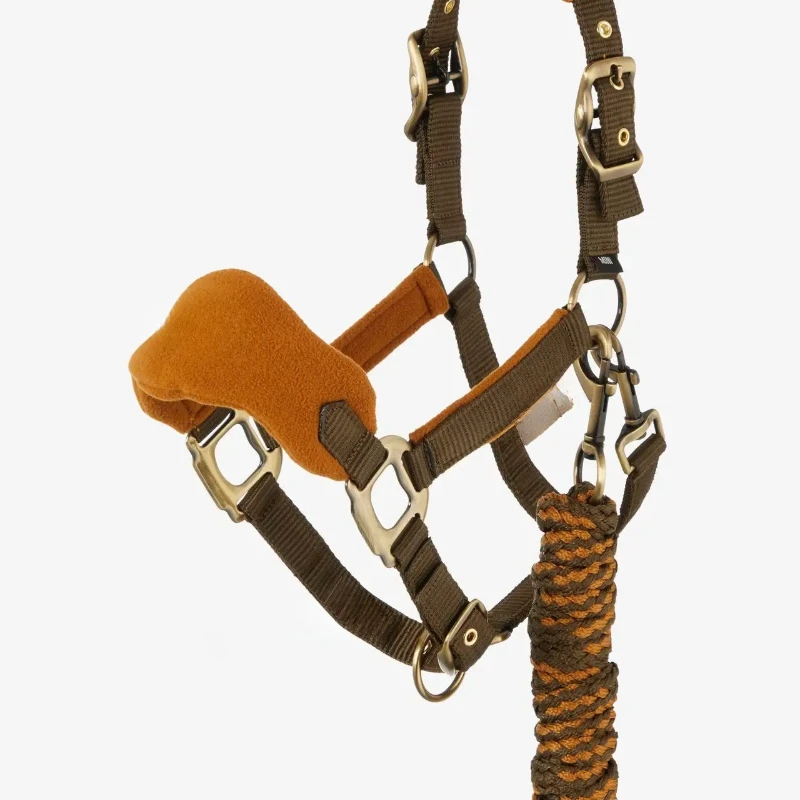 

Nylon webbing pony pony Mini bridle leash stable harness