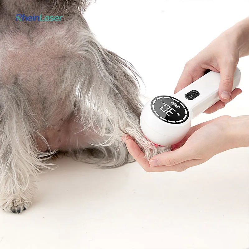 

Pets Injury Healing Infrared 808nm 650nm Therapy Device for Pain Relief and Wound Recovery