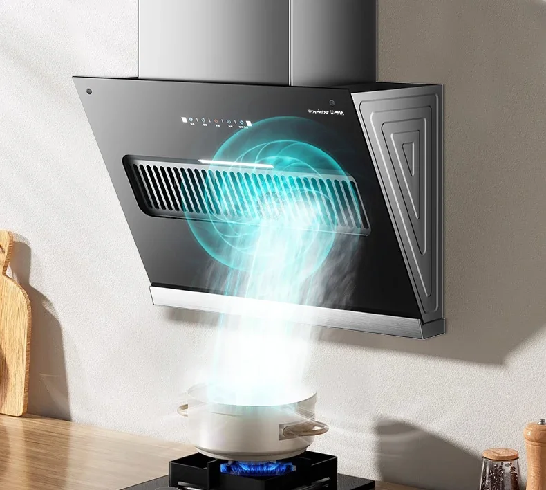 220V Royalstar Small Range Hood Powerful Suction Compact Side Type Kitchen