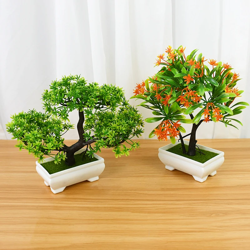 geigenfeige baum kaufen Geigenfeige - Ficus Lyrata Baum XXXL - 300cm