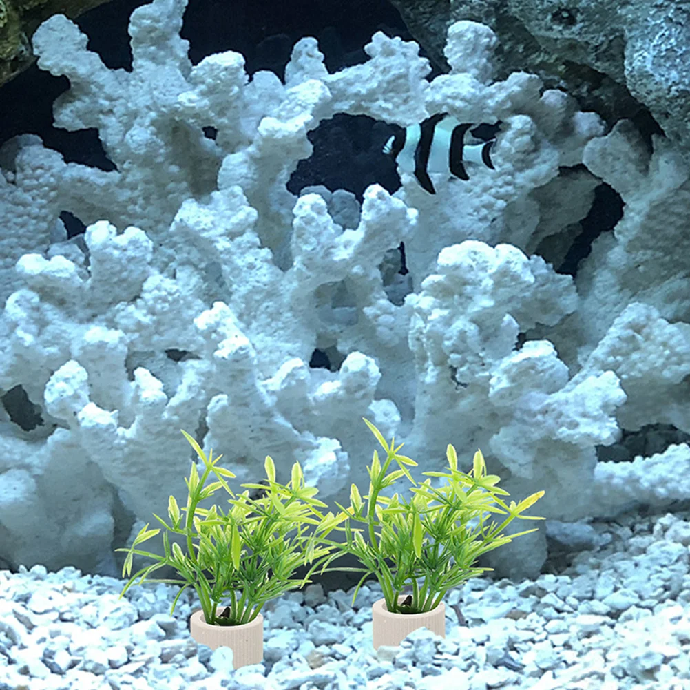 

5Pcs Ceramic Water Plant Fixing Cups Aquarium Holder Fish Tank Planting Base Underwater Plant Fixator Fish Tank Fixed Ring