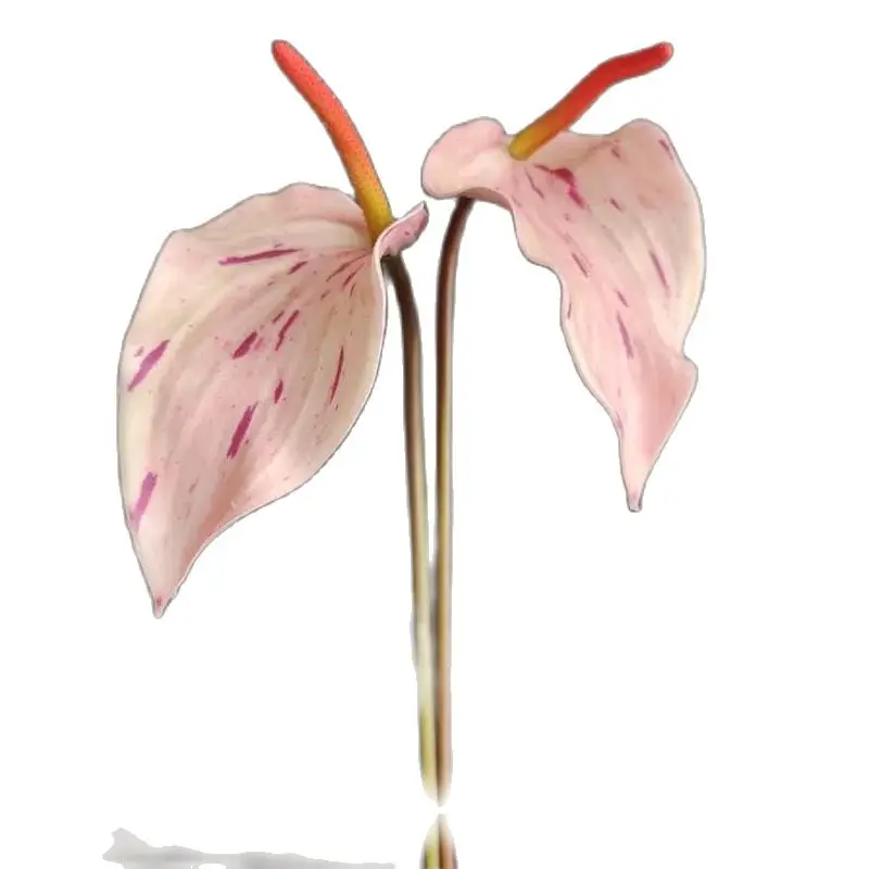 ONE Faux Single Stem Real Touch Flamingo Flower 28