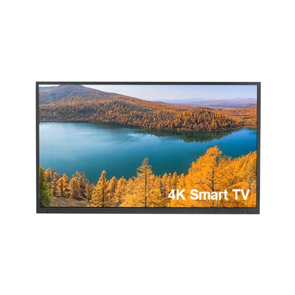 55' inch OLED Display with Smart Board of Android Operation System for Outdoor