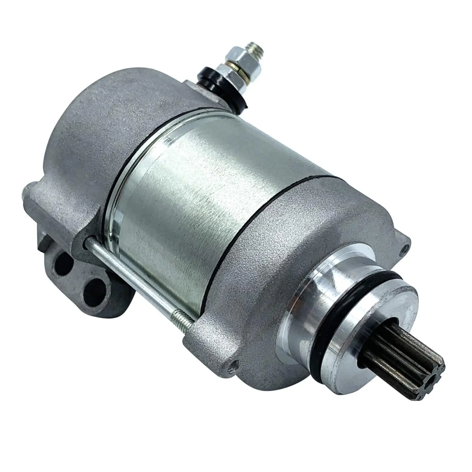 

Starter Motor 55140001000 Replace Parts for 190 250 300 Accessories