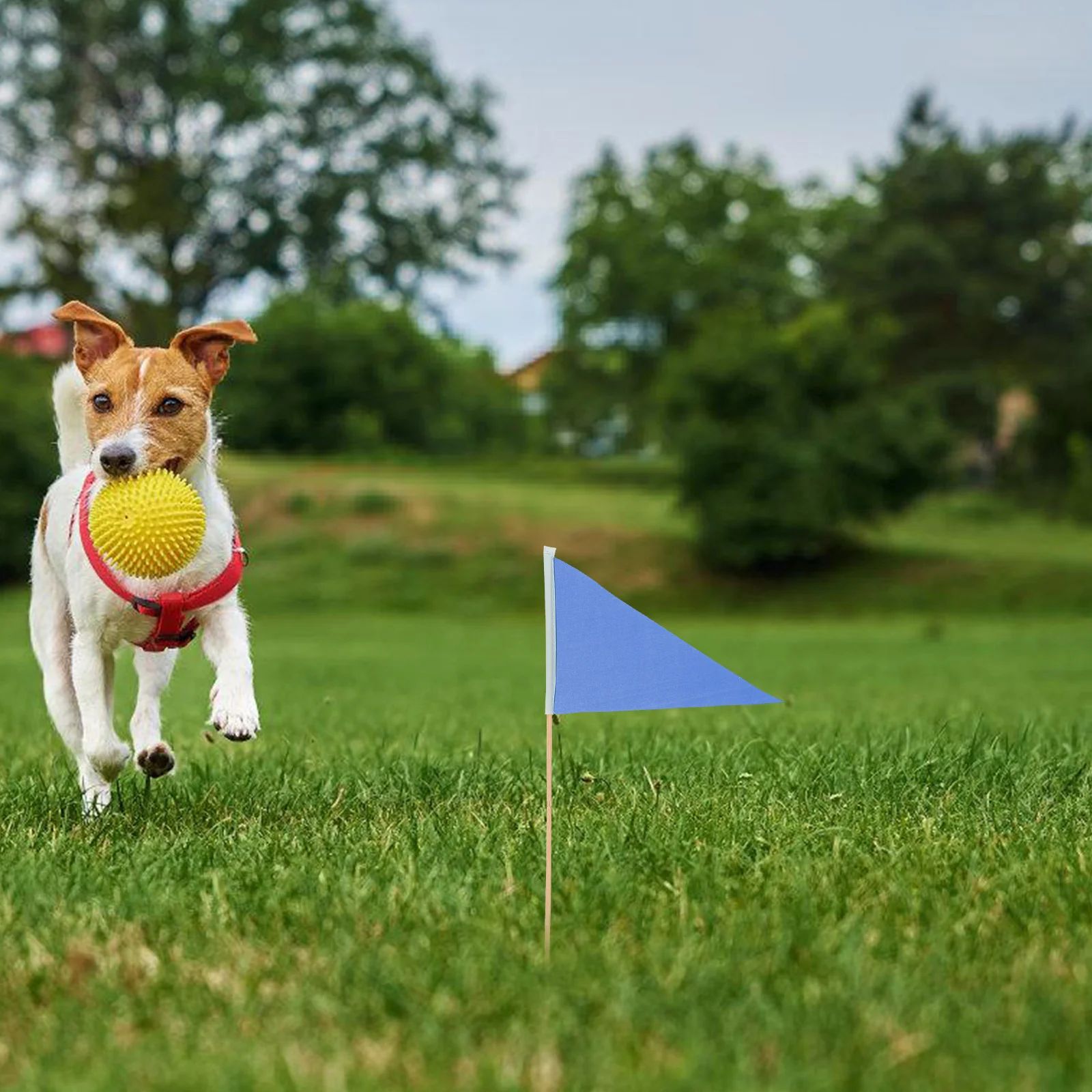 

10pcs Measurement Bar Marker Durable Polyester Lawn Yard Marking Irrigation Camping Tent Markers Dog Poop Lawn