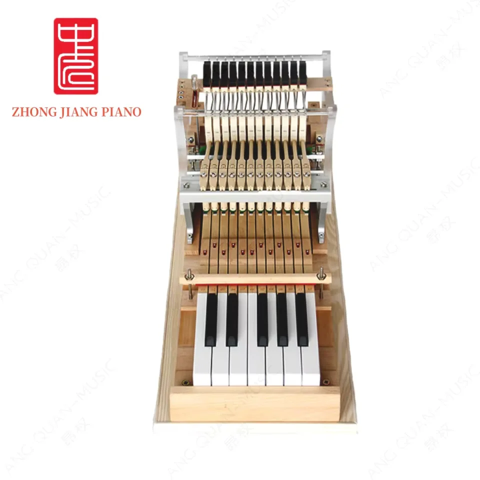 

Piano Teaching Model 12 Keys Triangle String Hitting Machine Model Professionally Designed Adjustable Touch Needs Customization