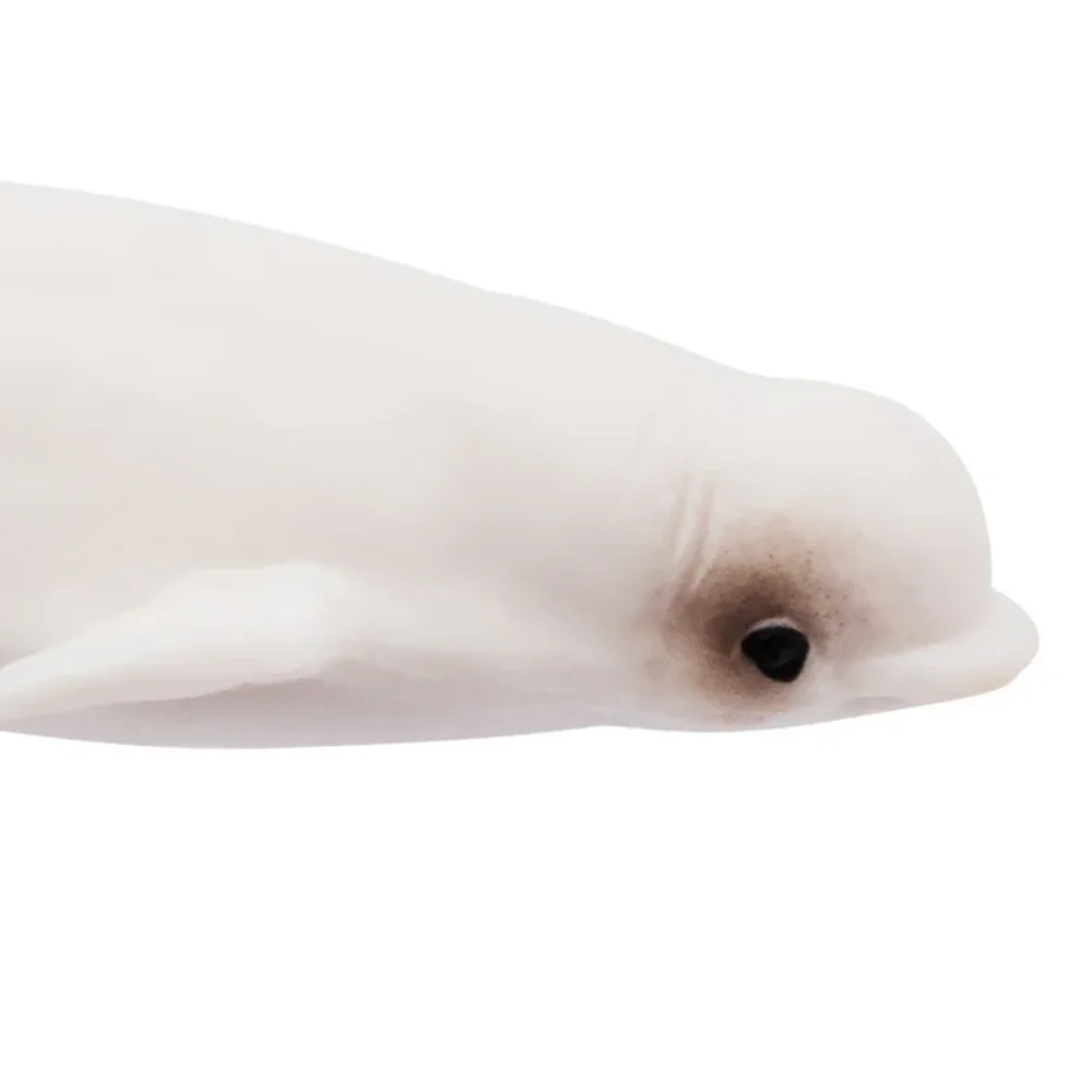 Toymany محاكاة بيلوغا المحيط نماذج للحيوانات لعبة شخصيات صغيرة دمى عمل التماثيل لعب الأطفال هدية كعكة الديكور #6