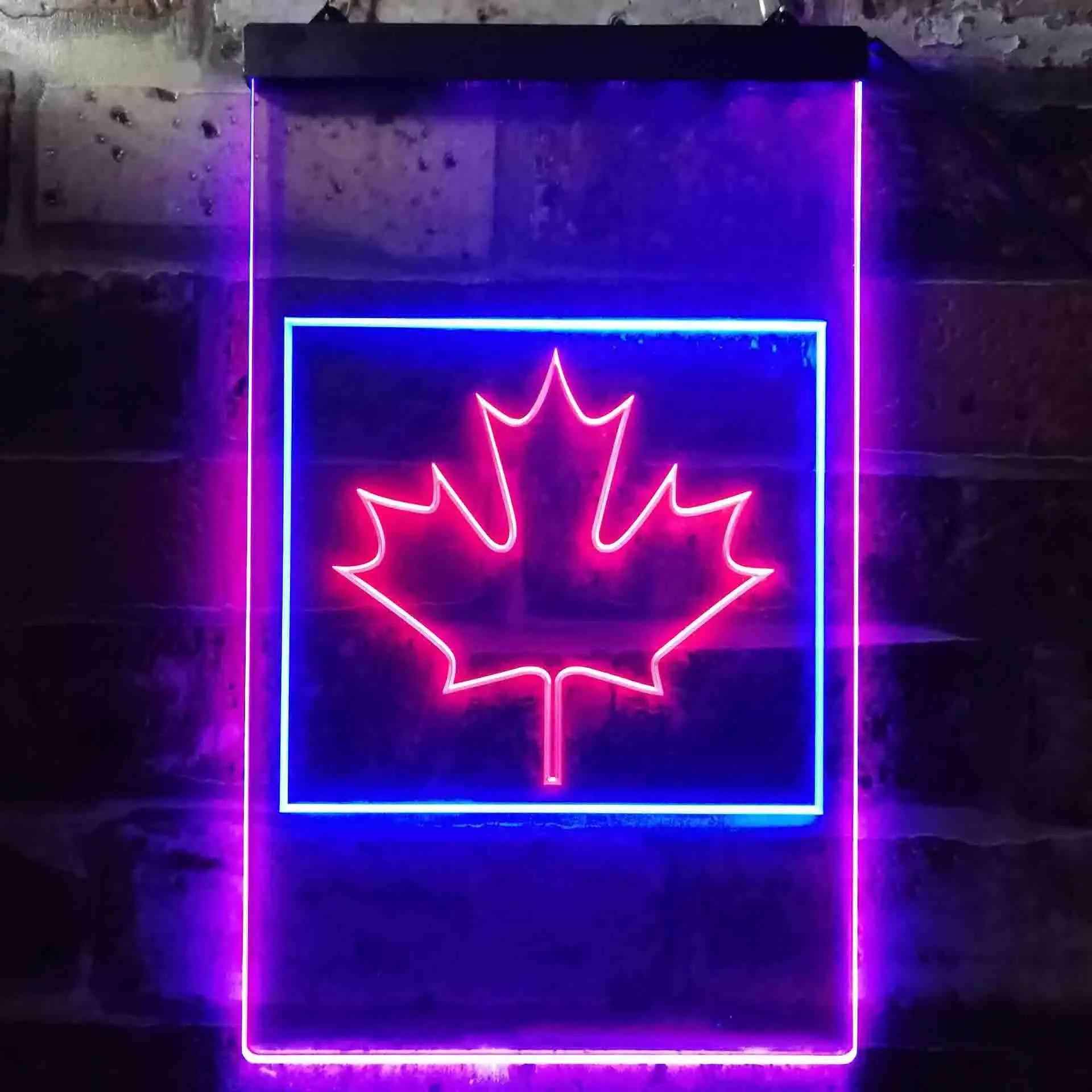 Canadian Maple Leaf Dual Color Led Neon Sign st6-i0893