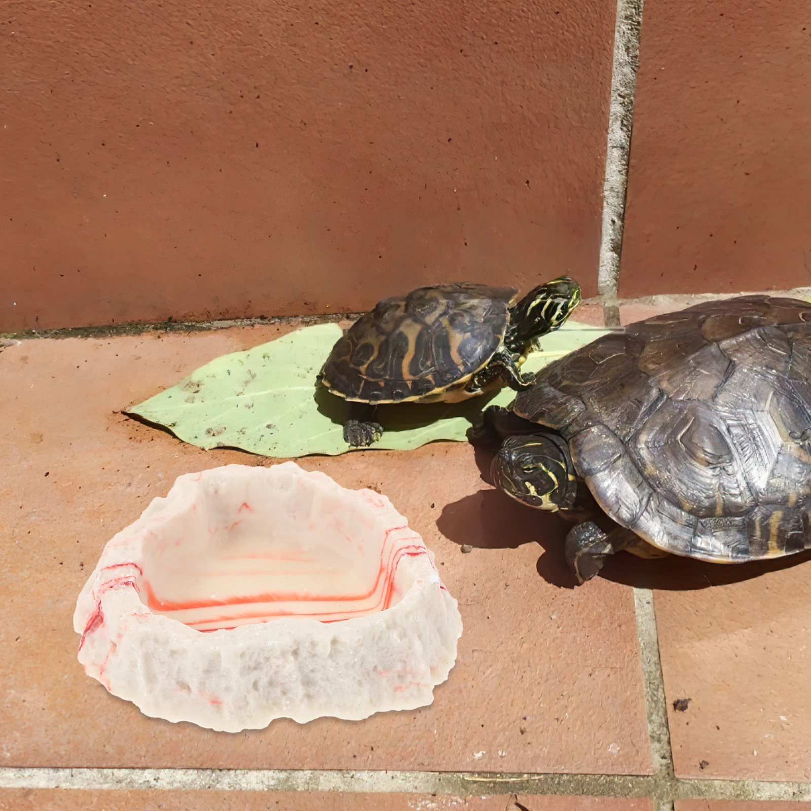 

Resin Reptile Food Bowl Style Water Dish for Bearded Dragon Lizard Tortoise Snake Feeding Use Reptile Food Bowl