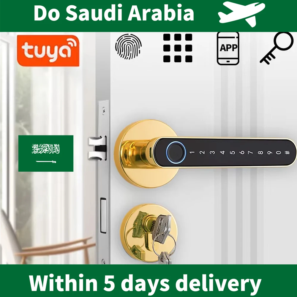 Do saudi Arabia 4585 standard local size Intelligent door lock Smart outdoor door lock fingerprint door lock electronic lock