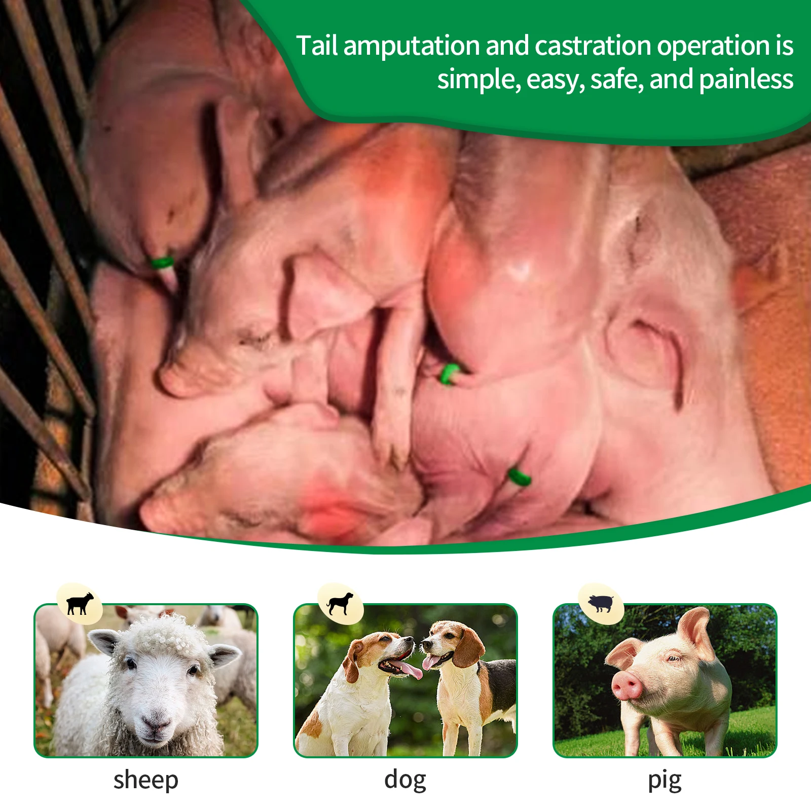 إزالة ذيل الماشية خنزير الأغنام كسر الذيل الإخصاء ذو طيات وحلقات مطاطية جسيمية جهاز الإخصاء اللوازم البيطرية
