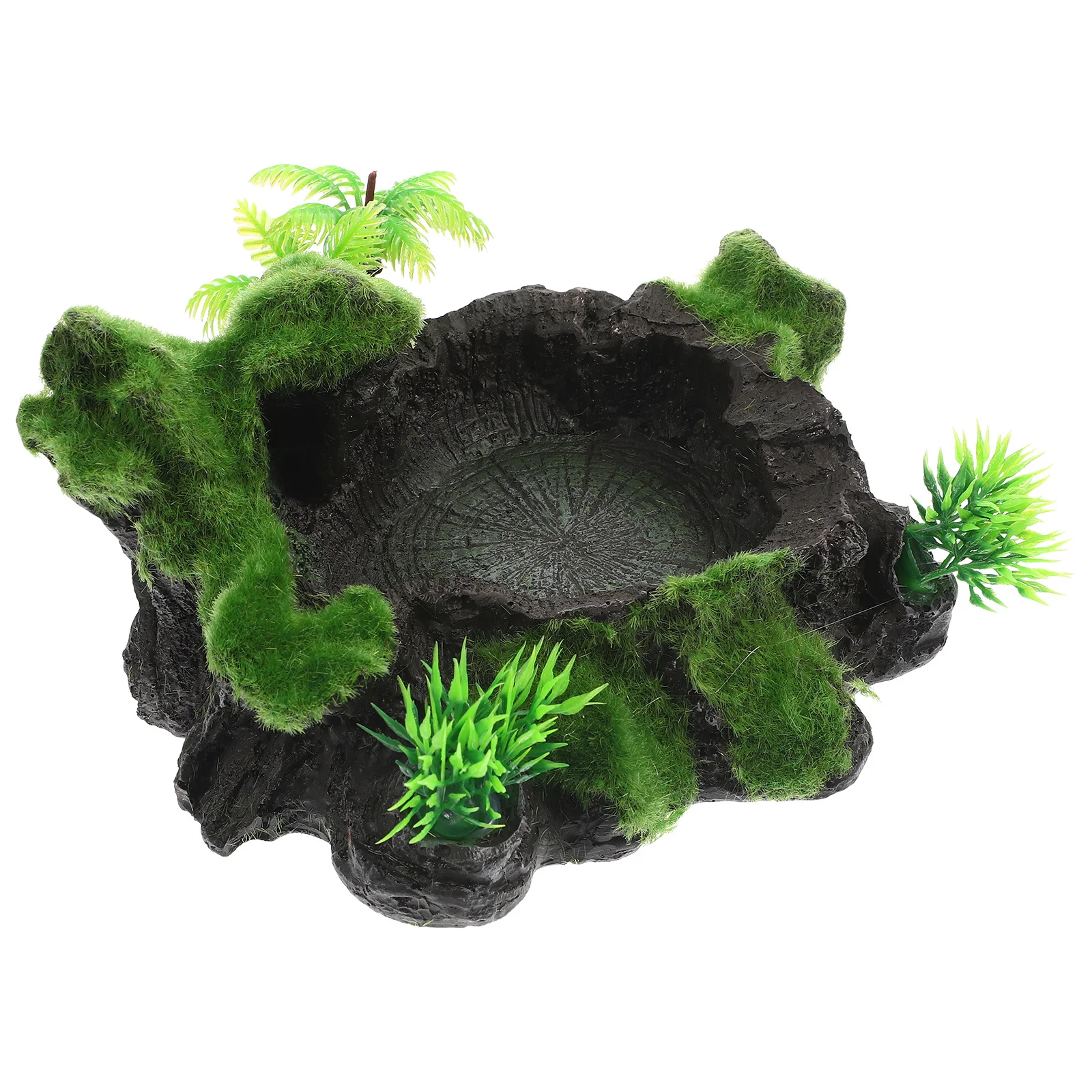 

Wear-Resistant Resin Reptile Water Bowl Stable Non-Spill Feeding Dish Decorative Accessory Reptile Feeding Dish