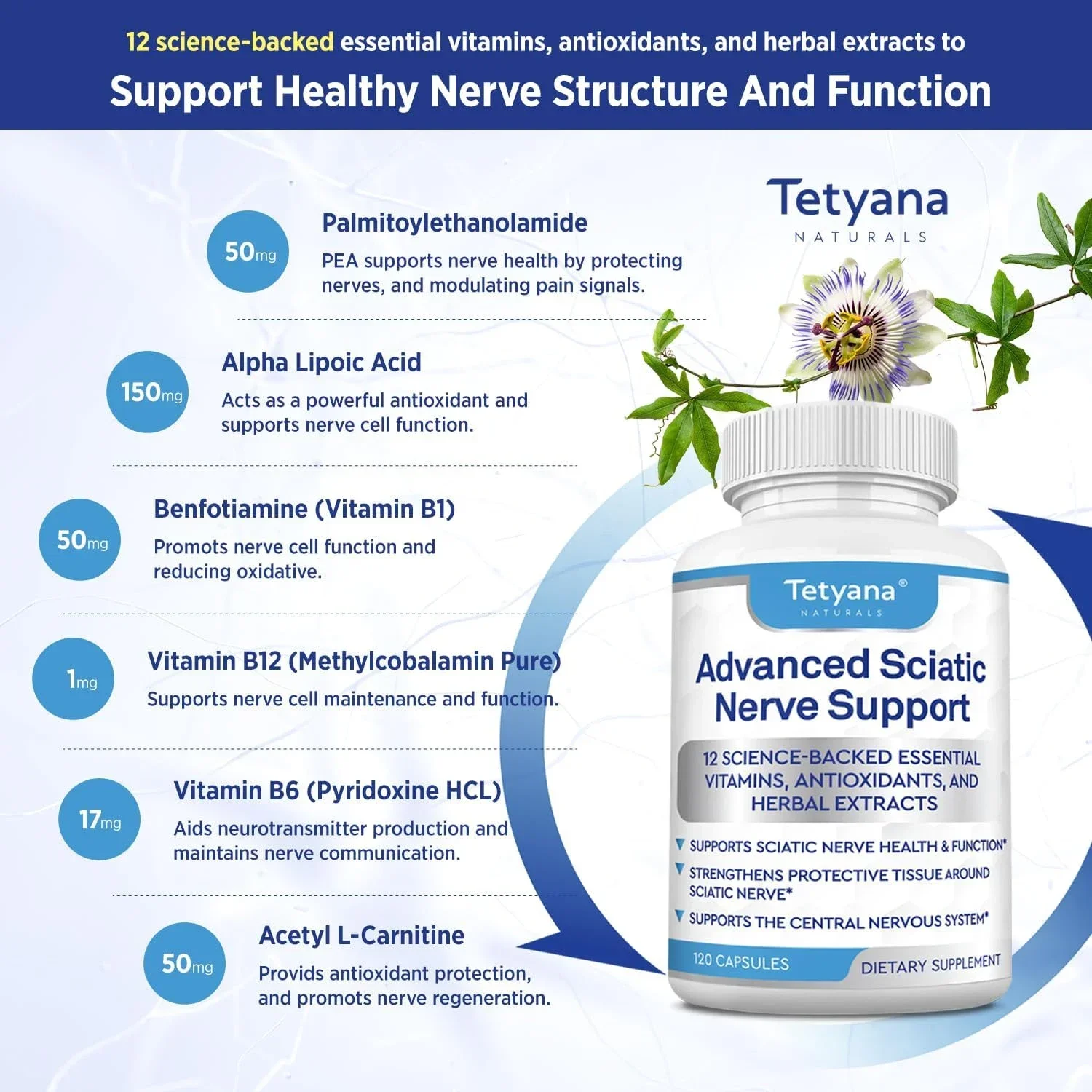 Nerve Support Supplements - Supports Healthy Nerve Function and Neurotransmitters, Blood Flow, Circulation