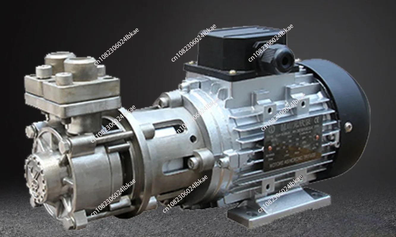 Stainless Steel Magnetism Forle Pumps High and Low Temperature No Leakage Hot Oil Pump Circulating Pump