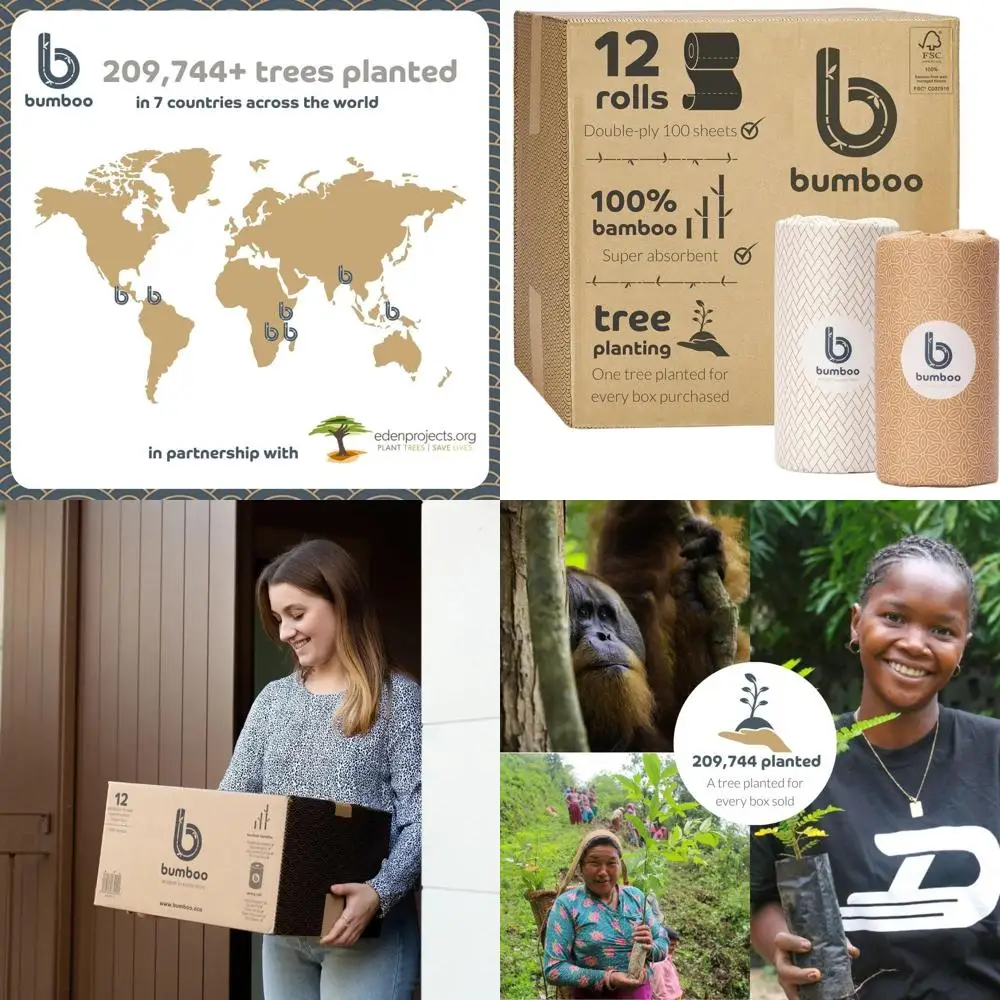 

Eco-Friendly Bamboo Paper Towels, 12-Roll Pack, 2-Ply, Versatile, Plastic-Free, Highly Absorbent and Durable