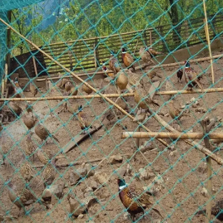 Robustes Anti-Vogel-Netz für den Garten, Hirsch, Zaunnetz, Gartennetz und Pflanzen, schützendes Zaunnetz für Anti-Vogel-Hirsch, Katzen und Hunde – Detail 15