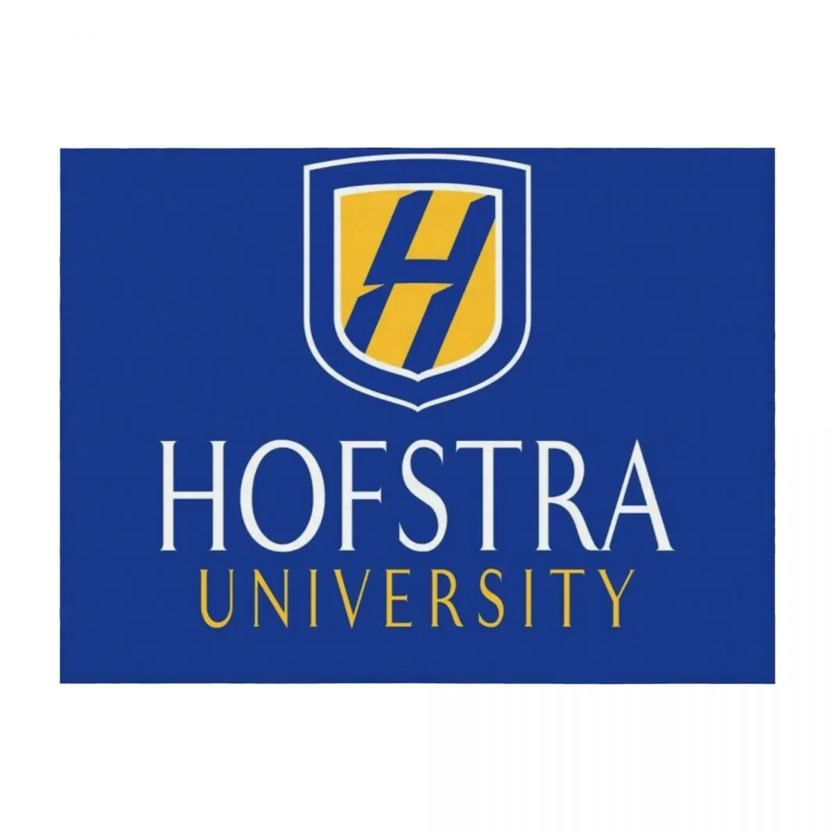 

Hofstra University Throw Blanket Tourist Large Blankets For Baby Blankets Sofas Of Decoration Blankets