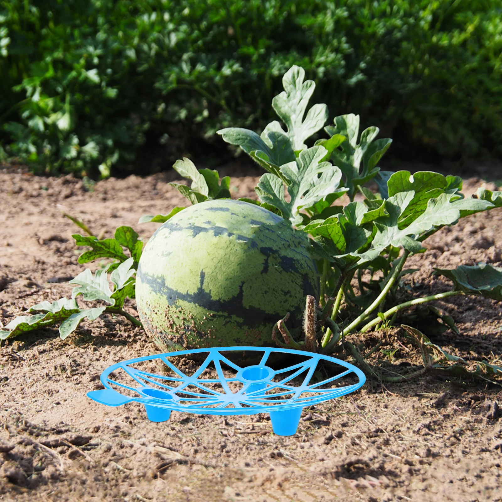 

10 Pcs Fruit and Tray Rack Watermelon Support Holder Garden Holders Growing Gardening Stands Plastic Planting Supports for