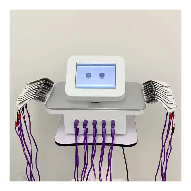 New Arrival Physiotherapy Ems Russian Currents Implements / Micro Current Eletrodos Fisioterapia Machine