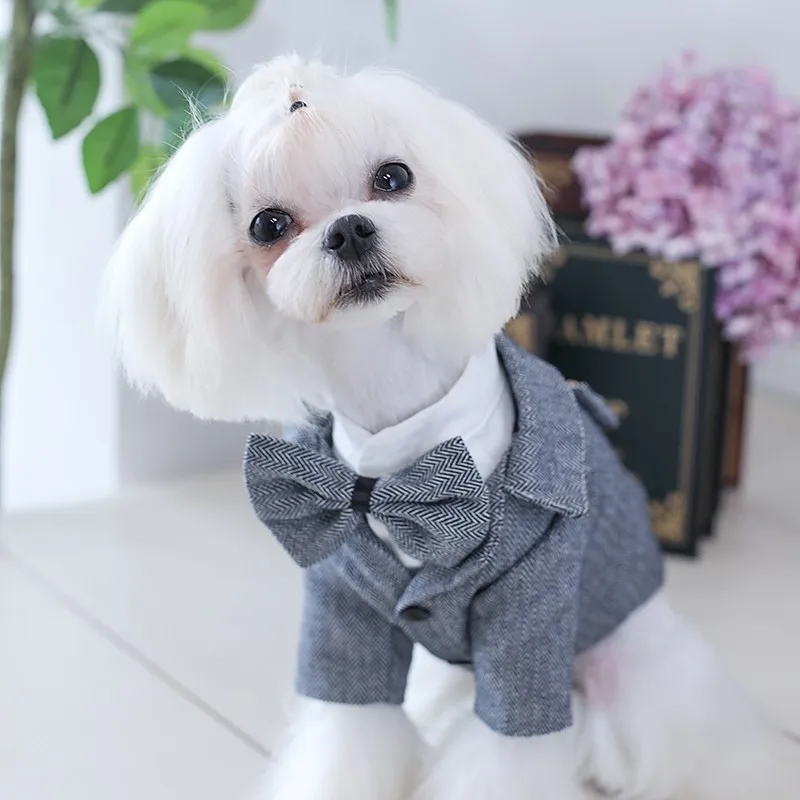 Handmade Dog Clothes Pet Supplies Handsome Suit Cool Jacket Classic Grey Wool Tuxedo Two-Piece Set Tailored Skirt Couple Dress