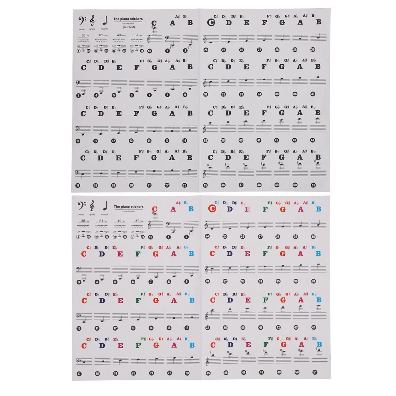 

Piano Keyboard Sticker Introductory Decal for Beginners Removable Transparent PVC Great for Pianos Electronic Organs Keyboard