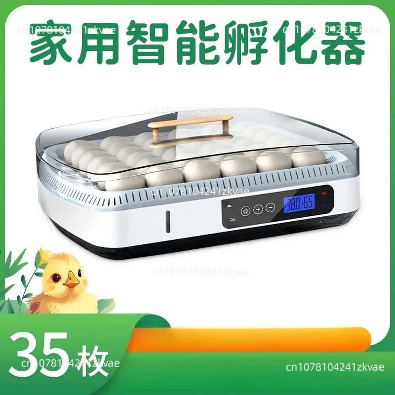 Chick Incubator 35 Pieces Home Incubation Equipment Model Humidity Control and Temperature Control Visual Cover Incubation