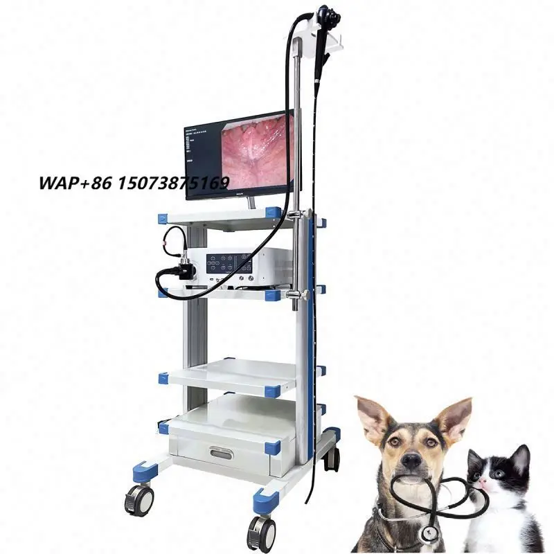 Amain Portable 8mm Veterinary Video Endoscope, Flexible Gastroscope Channel for Dogs/Cats, Reusable Forceps, Diagnostic S