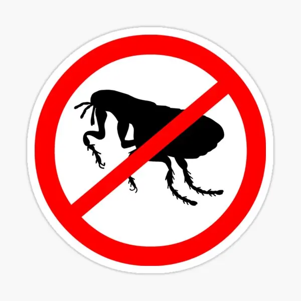 علامة تحذير احذر من كلب صغير طويل الشعر ملصق سيارة الزجاج الأمامي جذع ملصق الفينيل الكرتون سباق الكتابة على الجدران ملصقات #6