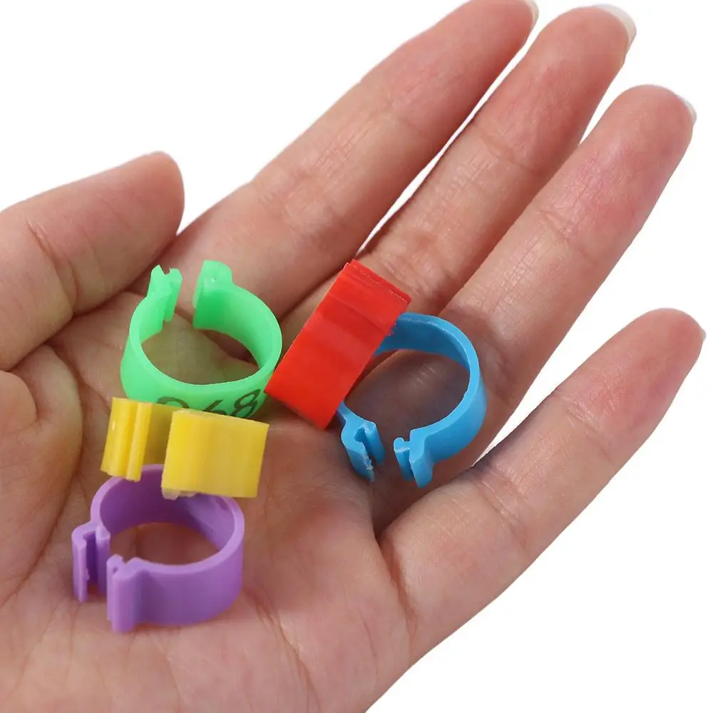 100pcs Portable Poultry Leg Tags Plastic Mixed Colour Poultry Ankle Bands 16/20mm 5 Colors Chicken Leg Bands Rings