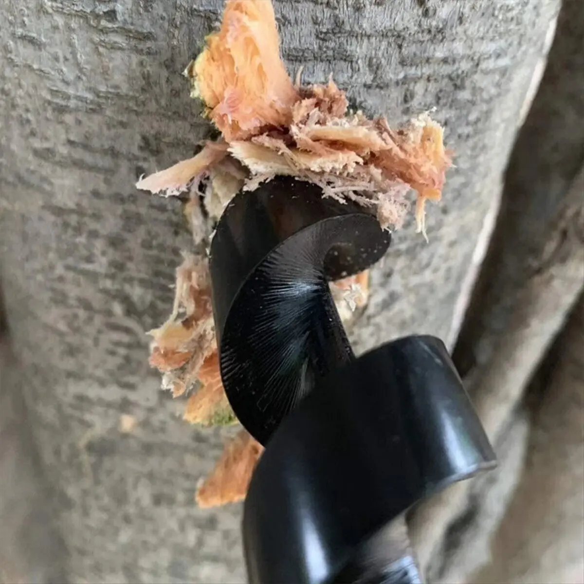 Portable Hand Wood Punch Manual Auger Drill Carbon Steel Survival Bit for Outdoor Camping Tools