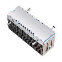 M. 2 2280 SSD Heat Sink Solid State Drive Radiator Fully Electroplated Reflow Welding SSD Heatsink Double Copper Pipe SSD Cooler