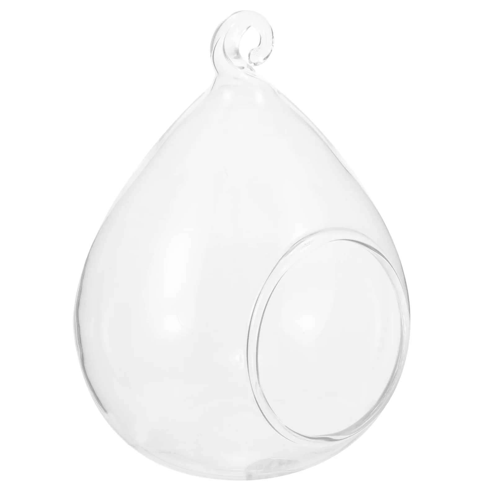 

Glass Propagation Jars Succulent Ornament Stations Air Plants Holder Wall Hanging Planter Globe