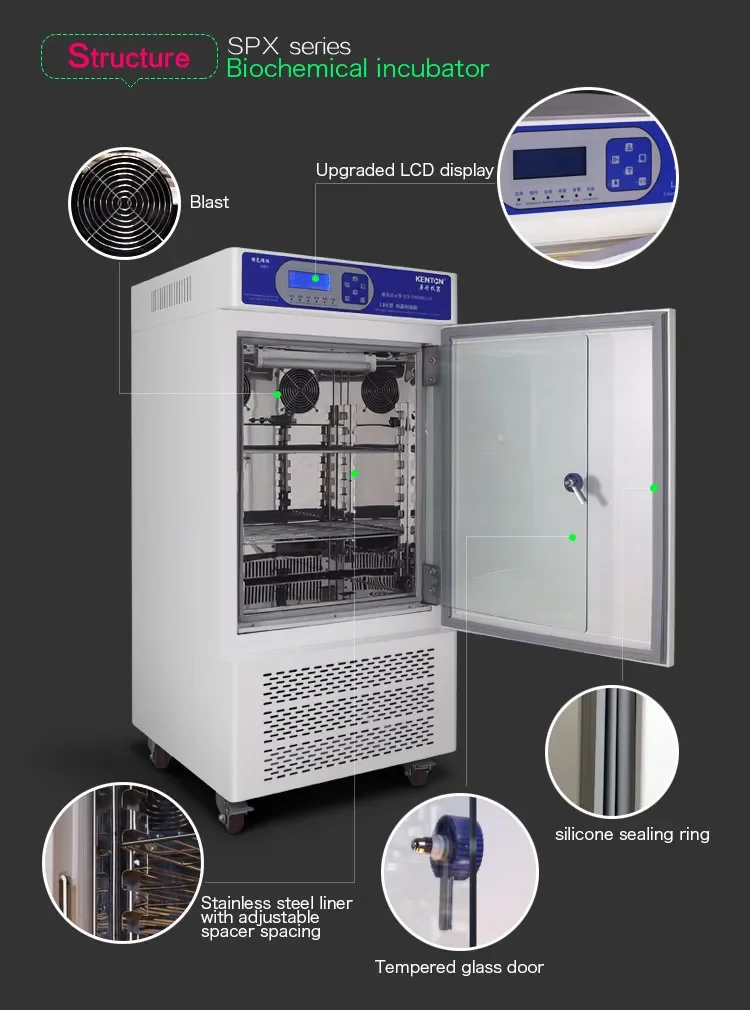 Fabricantes de incubadoras de temperatura automática de bactérias biológicas de microbiologia médica de laboratório